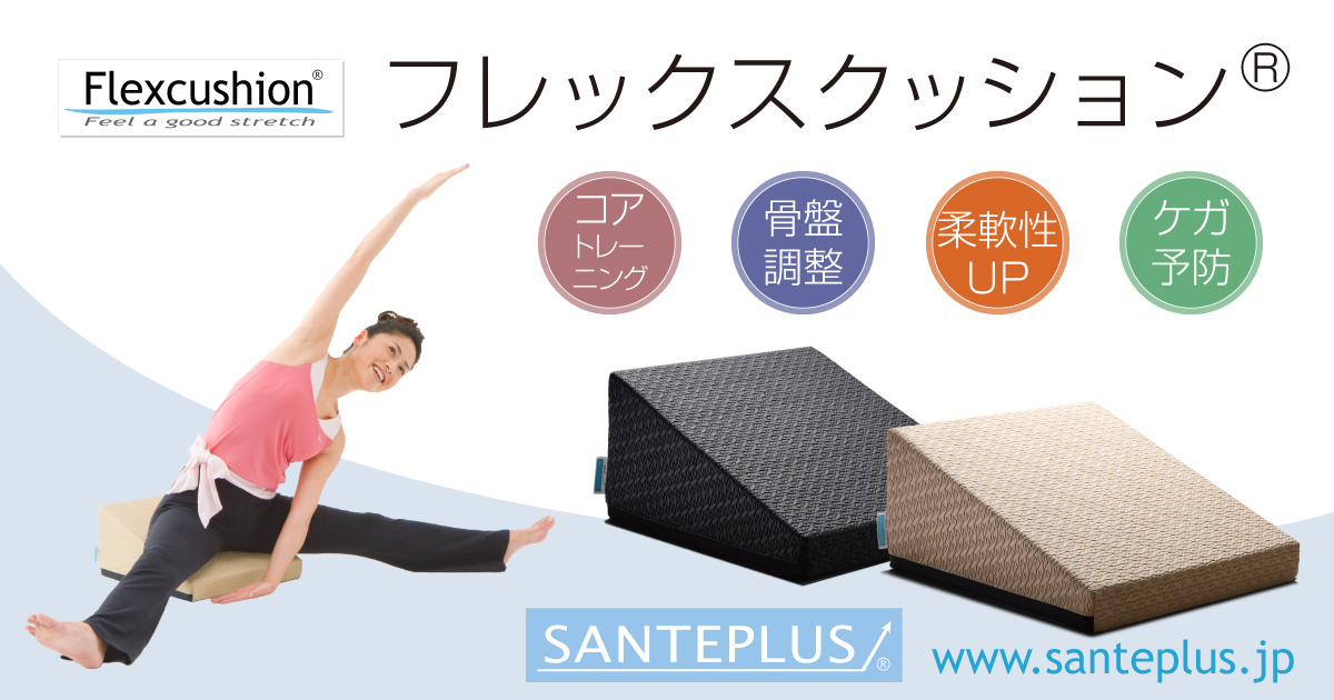 SANTEPLUS Flex cushion サンテプラス フレックスクッション 