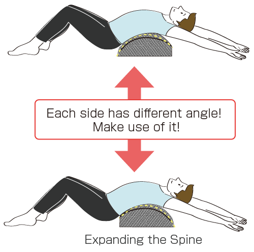 Thoracic Spine