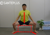 Basic Postures for Sumo Exercise