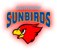 Suntory SUNBIRDS